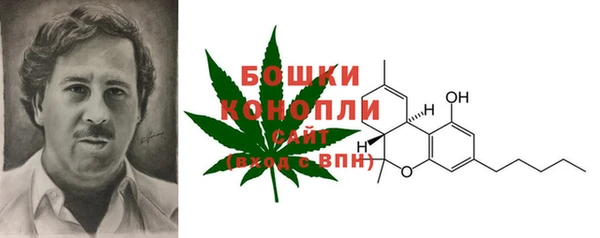 молекула духа Зерноград