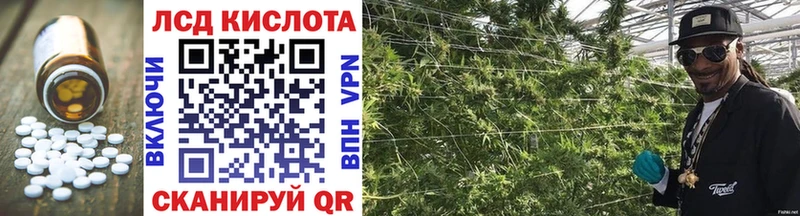 Купить  Могоча  ЛСД экстази кислота 
