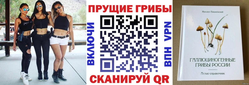 Купить  Могоча  Галлюциногенные грибы Psilocybe 